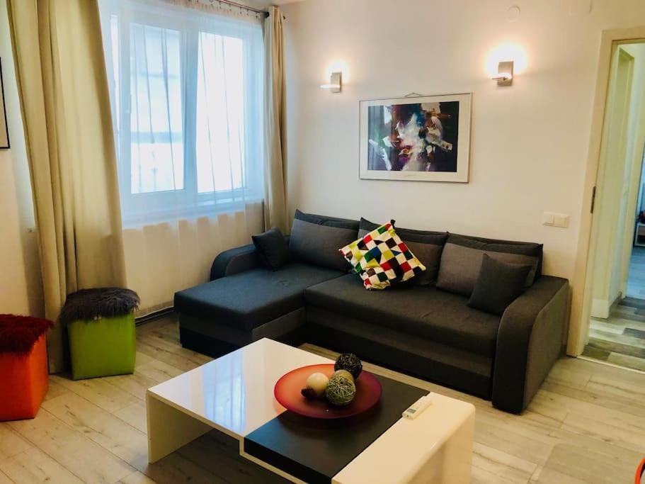 טימישוארה Joy City Stay Colonel Enescu 16 מראה חיצוני תמונה