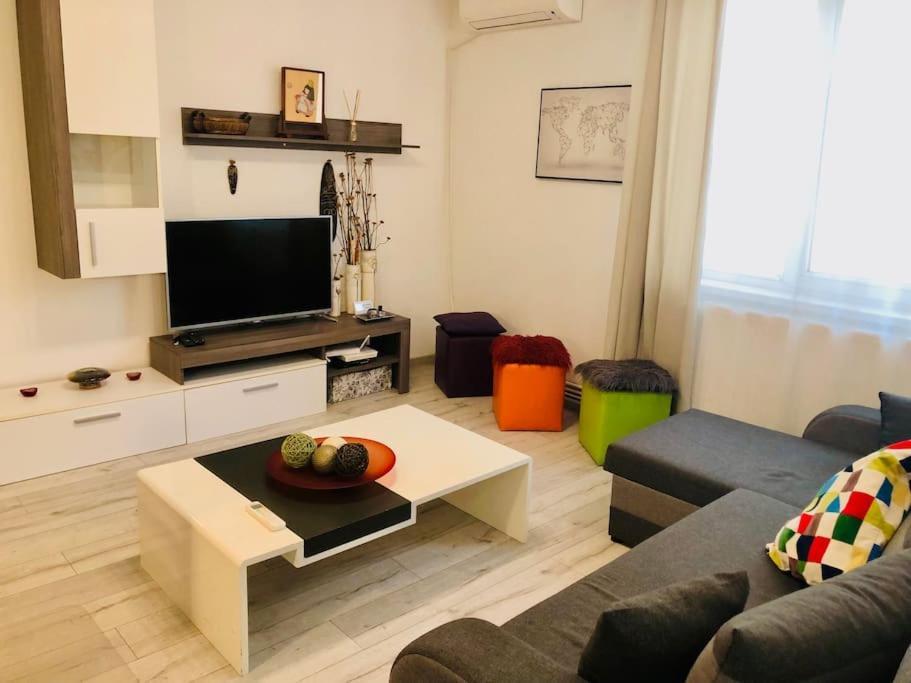 טימישוארה Joy City Stay Colonel Enescu 16 מראה חיצוני תמונה