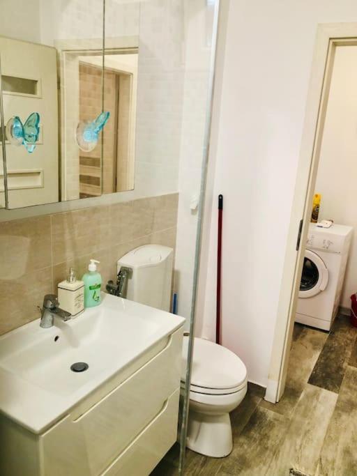 טימישוארה Joy City Stay Colonel Enescu 16 מראה חיצוני תמונה